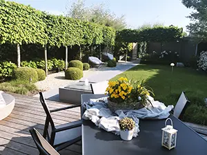 vue terrasse et jardin